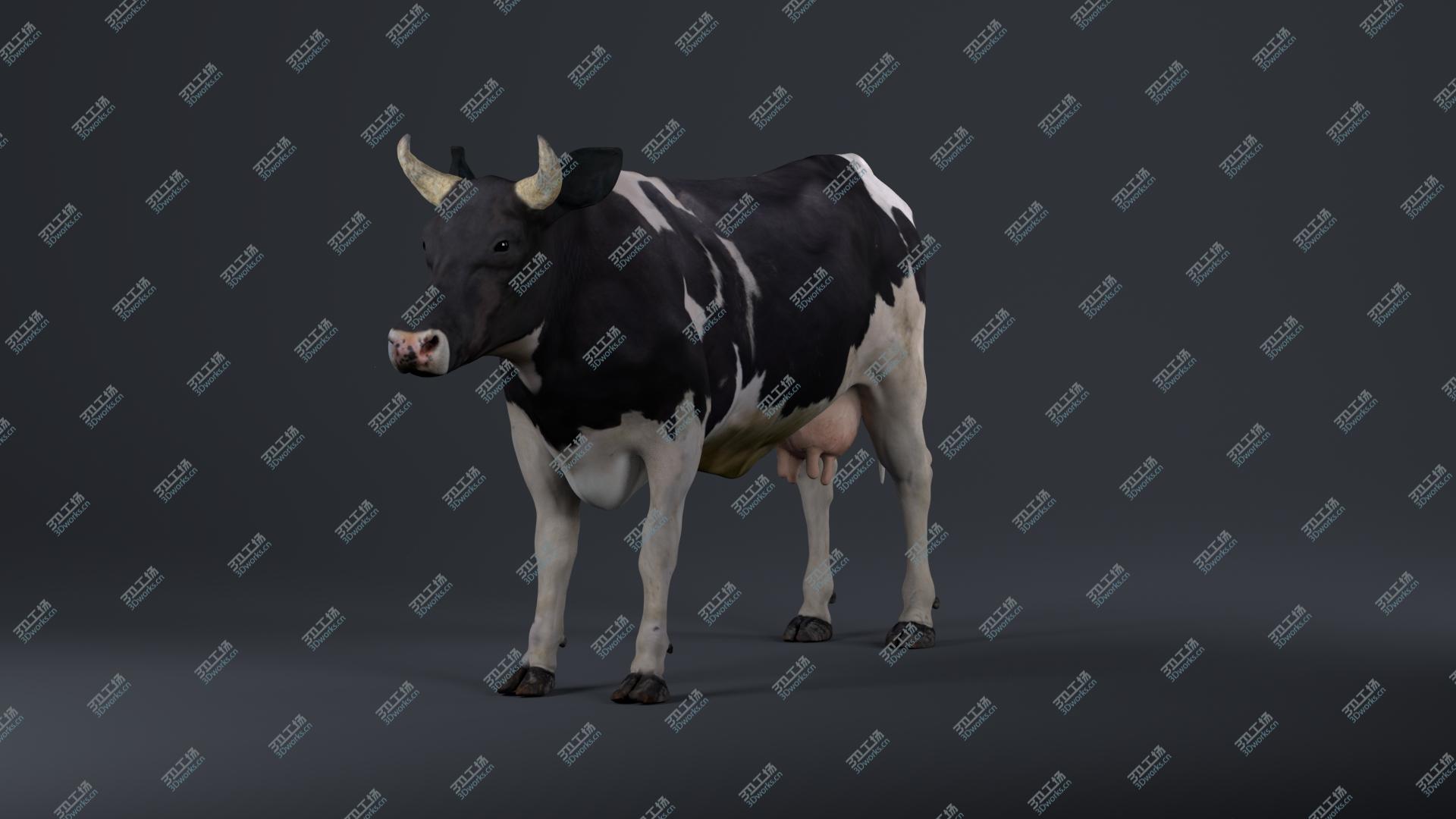 images/goods_img/202104093/Holstein Cow 3D model/3.jpg